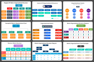 Matrix Organizational Chart