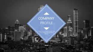 Company profile slide with a blue diamond shaped overlay centered on a black and white city skyline background.