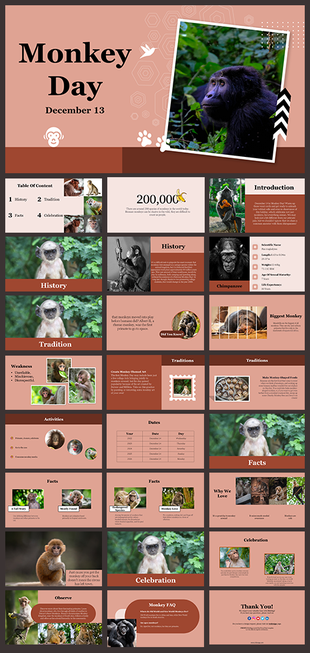 Slide deck uses images of monkeys alongside text and tables to explain history, facts, and celebrations in brown hues.