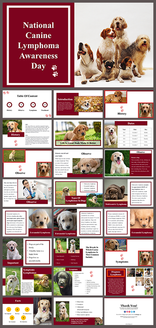 Awareness slide deck featuring various dog breeds, lymphoma info, treatment visuals, and red accented medical infographics.