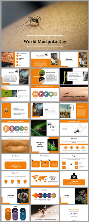 World mosquito day slides with mosquito images, disease icons, maps, and timeline elements in orange and white colors.