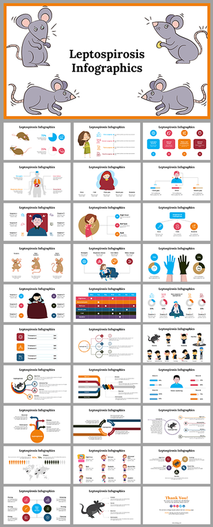 Infographic slide deck about leptospirosis, including illustrations, charts, and disease information.