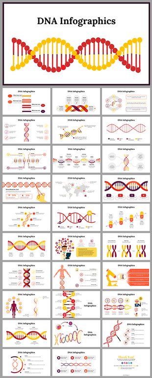 Collection of slides displaying DNA related visuals, including helix structures, chromosomes, and statistical charts.
