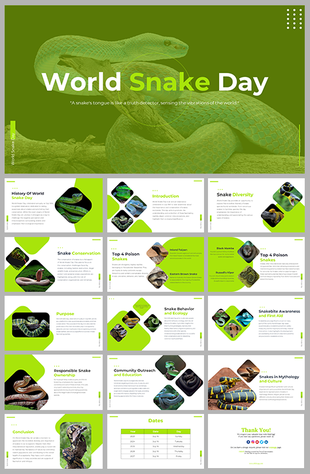 World snake day slide deck featuring a green snake image and various informational slides about snakes.