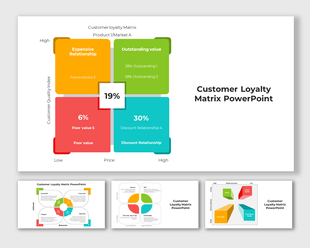 A pack of customer loyalty matrix slides illustrating various relationship categories with different colorful layout designs.