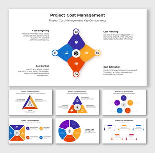 Project cost management slides with diamond, circular, triangular diagrams, charts, and financial planning insights.