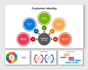 Customer Identity infographic with interconnected data segments represented by colorful circular diagrams.