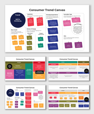 Diagram of consumer trend canvas including segments for analyzing basic needs, drivers of change, and consumer expectations.