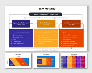 Team Maturity model showing organization, team, and individual performance with vibrant purple, orange, and red sections.