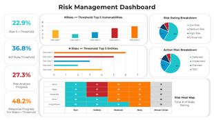 Dashboard visualizing risk percentages, analysis progress, top vulnerabilities, and action plans using graphs and heat maps.