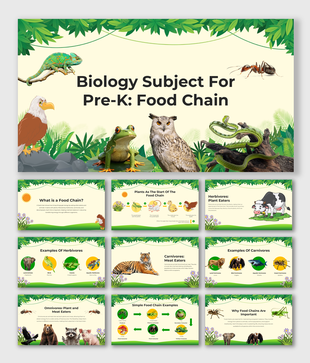 Illustrated food chain sequence with animals like frogs, snakes, and eagles, designed for Pre-K learning.