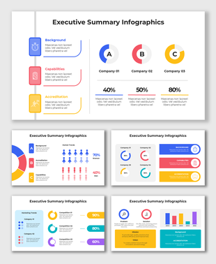 Executive summary infographics with charts, icons, and company comparison visuals across multiple slides.