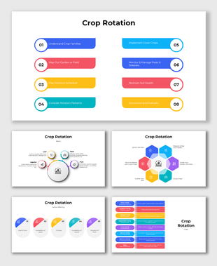 A modern crop rotation infographic with colorful sections, icons, and structured placeholder captions.