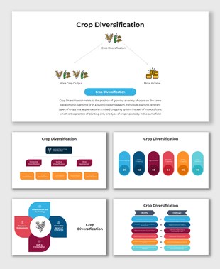 Crop Diversification infographic with icons and colorful sections showing benefits, challenges, and approaches.