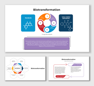 Biotransformation infographic with biochemical diagrams showing standards, fungal biocatalysts, and reaction phases.