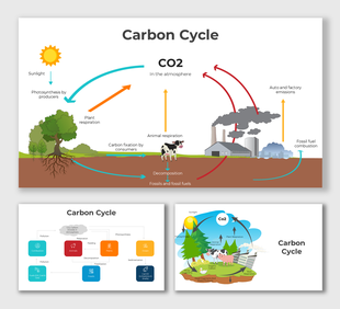 Illustrated carbon cycle showing trees, animals, factories, and CO2 movement through air, soil, and plants.