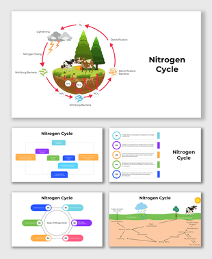 Nitrogen cycle diagram with trees, animals, soil bacteria, and arrows showing nitrogen transformations.