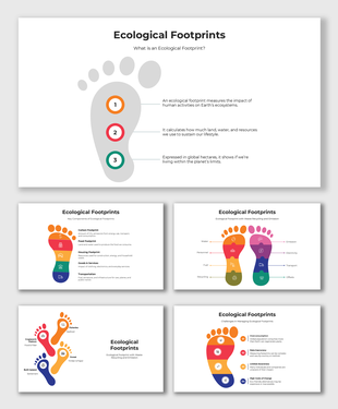 Footprint-themed infographic explaining ecological impact through categories like carbon, food, and housing.