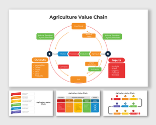 Agriculture Value Chain visuals showing circular flow from inputs to outputs with market and compost cycles.