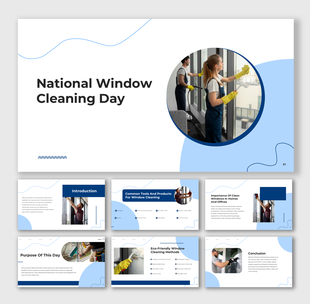 Woman cleaning a window with gloves on, surrounded by clean design elements and placeholder caption areas.