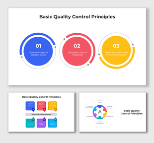 Basic Quality Control Principles using multi-color shapes, process icons, and labels for cost reduction and efficiency.
