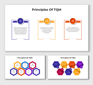 Principles Of TQM slides with colorful hexagons, step boxes, and icons showing quality and process strategies.