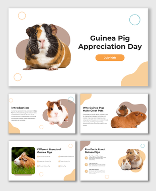 Guinea Pig Appreciation Day slides with cute guinea pigs, peach shapes, fun facts, and pet care info.