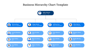 Organizational chart with blue boxes featuring profile icons, showing multiple levels of business hierarchy.