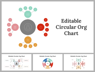 Circular organizational chart with five color-coded sections branching out from a central circle, each with caption area.
