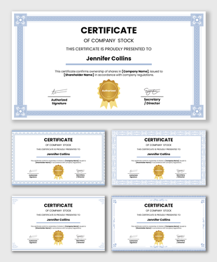 Company stock certificate with blue ornamental border, recipient name, ownership text, seal, and signatures.