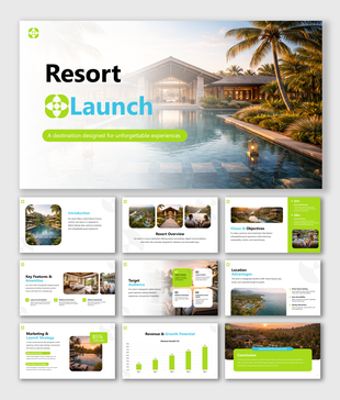 Resort Launch slides showcasing luxury destination overview, amenities, target audience, marketing strategy up.
