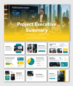 Project executive summary presentation highlighting goals, metrics, financials, operations, impact, and future strategy.