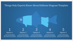 Blue fish shaped diagram segmented into five parts, labeled 1 to 5, with descriptions below each section.
