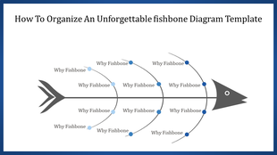 Gray fishbone structure with branching curves, featuring blue dots and labels extending from a central spine.