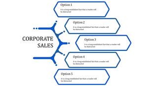 Corporate sales slide with a blue branching structure connected to five hexagonal text boxes labeled as options.