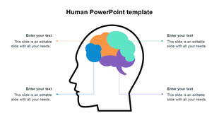 Human head silhouette with colorful brain segments connected to four surrounding text boxes via thin lines and dots.