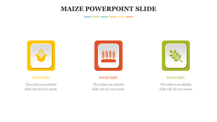 Maize slide with three icons a yellow corn cob, red wheat sheaves, and a green leaf, each with caption areas below.