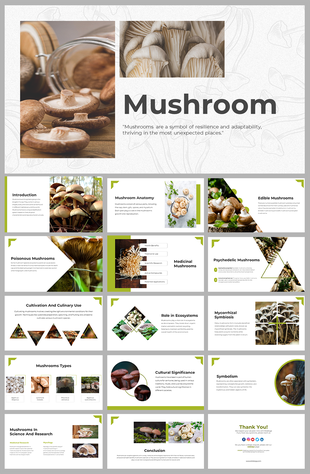 Slide deck on mushrooms, including slides for anatomy, cultivation, and symbolic significance, with mushroom visuals.