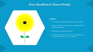 Slide featuring a vibrant sunflower illustration on a blue backdrop with captions.