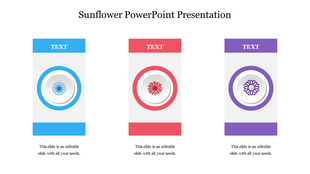 Three-panel layout with sunflower icons in blue, red, and purple sections, each with a placeholder text  at the top.