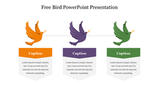 Three flying bird icons in orange, purple, and green, each with a caption area below for text.