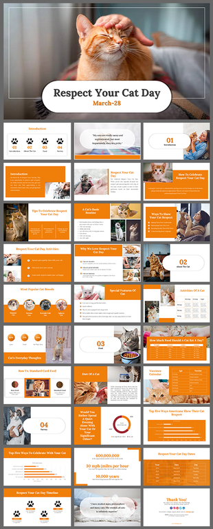 Respect your cat day slide deck featuring orange accents with images, and sections on care and activities.