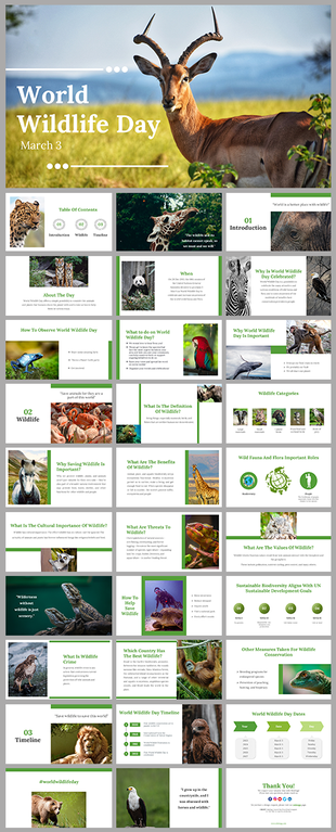 Slide pack featuring various animal images with green accents, discussing wildlife conservation and global biodiversity.