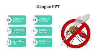 Slide illustrating dengue transmission stages, with labeled steps and a warning symbol featuring a mosquito.