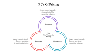 Venn diagram slide illustrating the three C's company, customer, competition of pricing with placeholder text.
