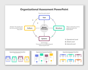 Organizational assessment slide deck highlighting mission at the center, surrounded by four elements with level indicators.