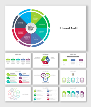 A pack of internal audit processes slides illustrated with various diagram models and colorful layout designs.
