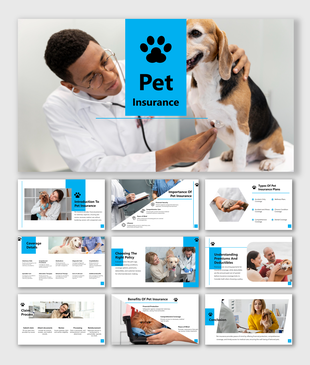 Pet insurance presentation featuring a vet examining a dog, with slides on topics like coverage details and benefits.