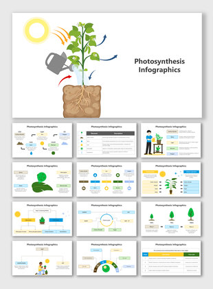 Slide deck explaining photosynthesis, with plant diagrams, elements like sunlight and water, and their roles in the process.