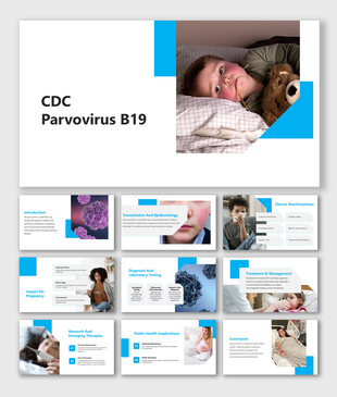 CDC Parvovirus B19 slide set, covering topics like symptoms, transmission, impact on pregnancy, and treatment options.